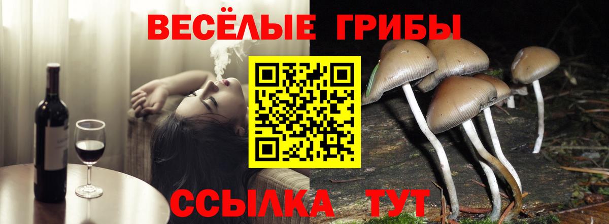 Псилоцибиновые грибы MAGIC MUSHROOMS Саратов